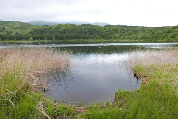 Nature and Gastronomy place Rishiri island at Northern Hokkaido in Japan