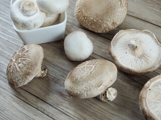 신선한 유기농 양송이버섯과 표고버섯