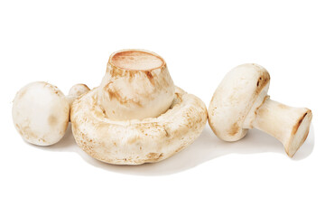 Three champignon mushrooms on a white background