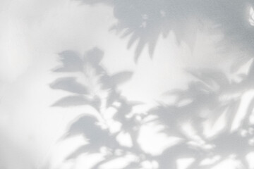 Leaf shadow and light nature tropical background. Natural leaves tree branch and plant shadows with sunlight dappled on white wall. Shadow overlay effect for foliage mockup