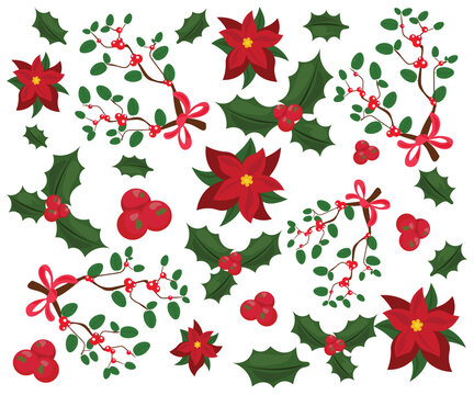 winter holiday, new year, Christmas background, Christmas mistletoe flower