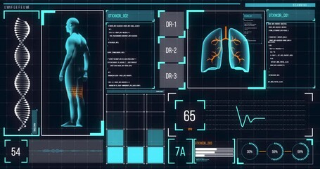 Animation of the human body analyzed on a screen, lungs and heart beat analyzed, medical information - Powered by Adobe