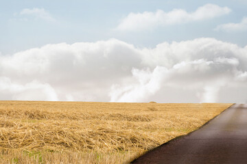 Road leading out to the horizon