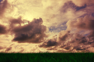 Obraz na płótnie Canvas Green grass under cloudy sky