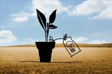 Rolgordijnen Idea plant on countryside © vectorfusionart