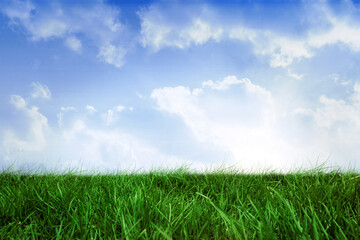 Obraz premium Field of grass under blue sky