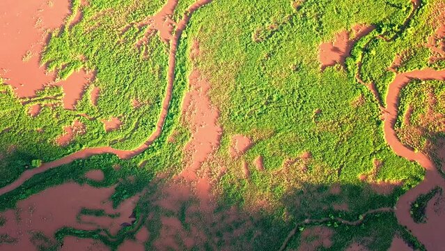 Unique Landscape Of Lake Natron In Tanzania, Africa. Aerial Top View