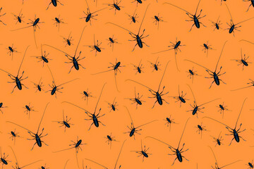 Halloween pattern made with creepy black beetles with long whiskers on orange background, as a backdrop or texture. Creative halloween layout for your design