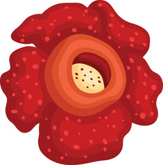a vector of the rafflesia arnoldii flower