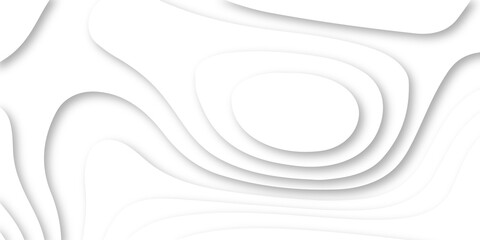 abstract Luxury paper cut background, Abstract decoration, white pattern and golden lines  gradients, 3d Vector illustration, topographic canyon map light relief texture, curved layers.