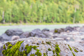 Scenic nature background with beautiful mossy boulder on bank of river on green forest background.