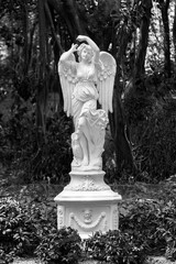 Sculpture of angel in Park