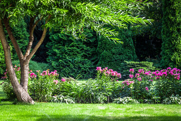 Backyard design elements of a beautiful private house.