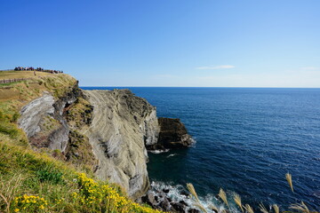 Fototapeta na wymiar cliffs at the coast