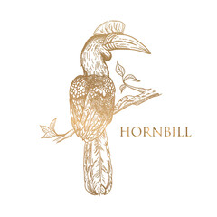 vector drawing gold color hornbill on white background © Eakglory