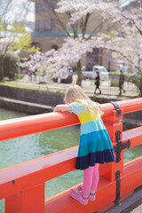京都　岡崎疏水の桜並木と女の子