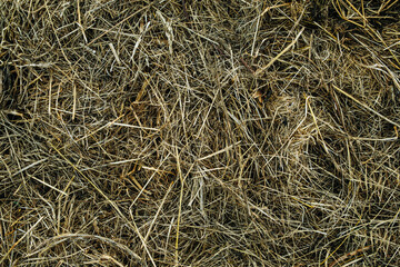 Jumble of straw texture. Mowed dried grass piled up.