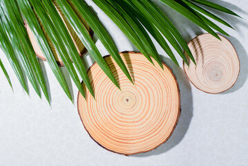 circle wooden planks and leaves background