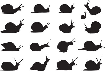 Snail silhouette