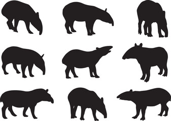 tapir silhouette