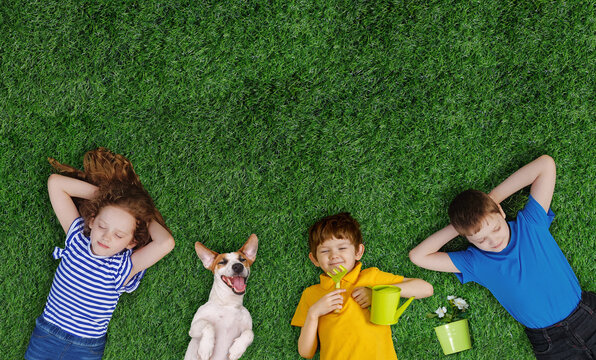 Children friends and dog, lying on green grass.