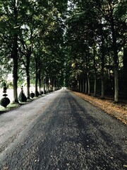 Allée royale de Versailles