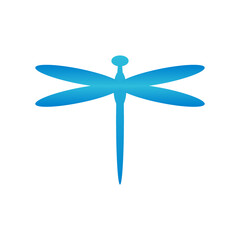 Dragonfly isolated on white background design vector