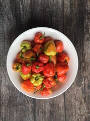 the habanero is a hot variety of chili