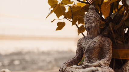 Buddha statue sit under Bodhi tree on natural light background.