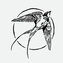 vector sketch of a bird
