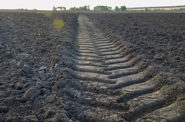 Tyre track on land