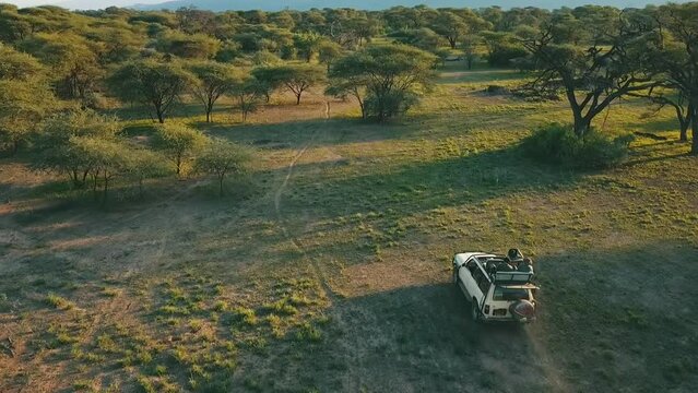 Drone view of a moving jeep in the scenic jungle of Masai Mara, Kenya