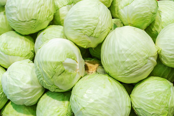 Fototapeta na wymiar Round cabbage on the counter in the store. Trade in vegetables in the wholesale and retail network. Close-up