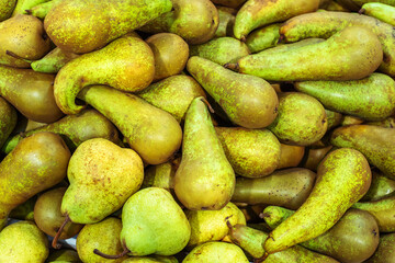 Lots of pear fruits. Fruit trade wholesale and retail. Top down view