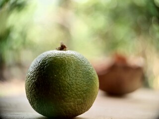 kiwi fruit on a wooden background