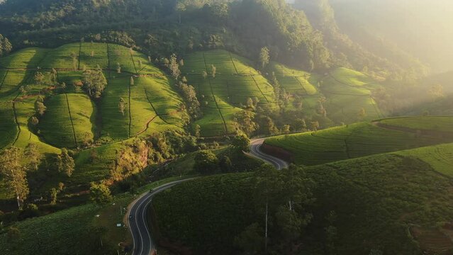 Aerial Drone View of Scenery Road Through Green Mountains Hills and