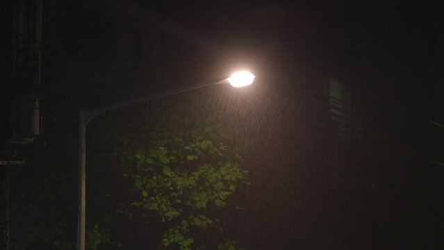 scenery of rainy day at night. Rain drops from the sky under a light poll in front of an apartment.