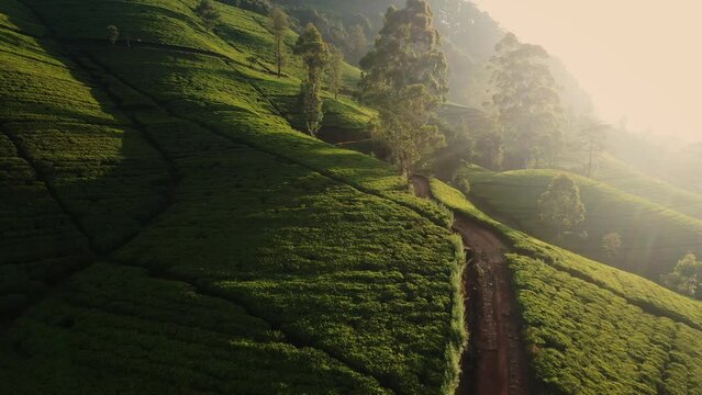 Aerial Drone View of Scenery Road Through Green Mountains Hills and