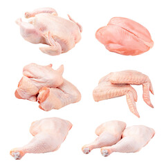 Isolated whole raw chicken parts collage png