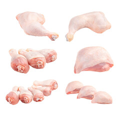 Isolated whole raw chicken parts collage png