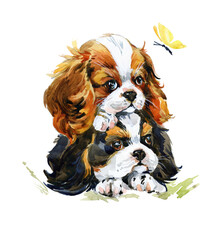 Cute Spaniel puppy dog watercolor illustration isolated on white. 