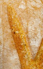 Golden Bread Crust Texture Background