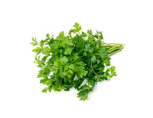 Parsley Leaves Isolated