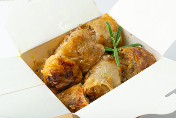 Spring Rolls, Rollos Primavera Isolated