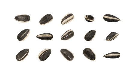 Sunflower Seeds Set, Striped Raw Seeds Collection Isolated
