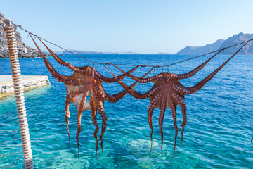 Octopus drying in the sun in europe greece santorini