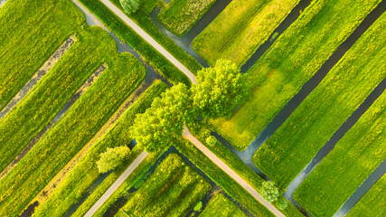 Aerial view of green field. Netherlands. Canals with water for agriculture. Fields and meadows....