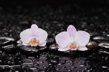 Poster spa still life of with macro of orchid and zen black stones wet background  © Mee Ting