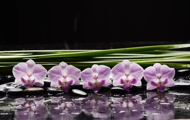 Schilderijen op glas spa still life of with yellow orchid and  and zen black stones with bgreen palm ,wet background  © Mee Ting