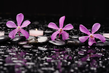 spa still life of with 
orchid ,candle  and zen black stones wet background
